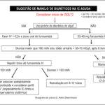 Figura 1