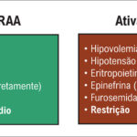 Figura 1