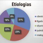 Figura 1