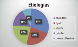Figura 1