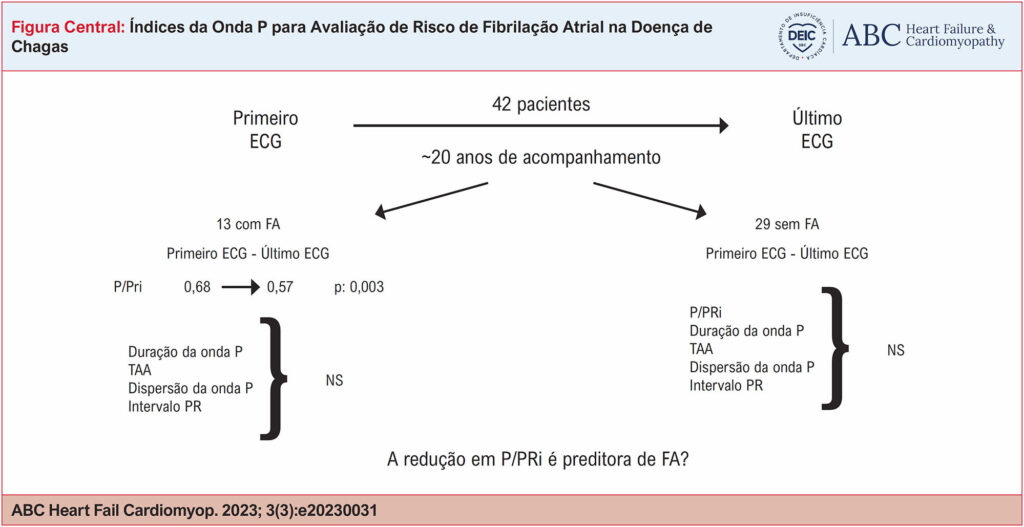 Imagem 1 da galeria