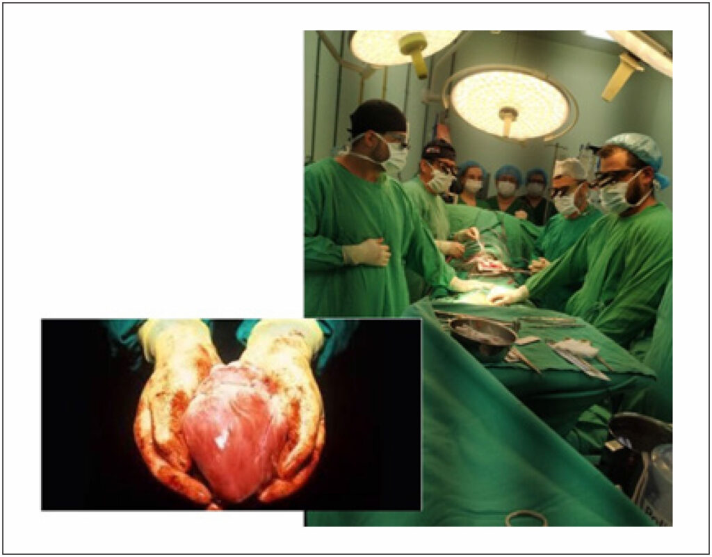 Figure 7