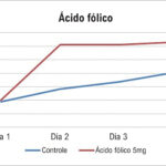 Figura 1