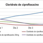 Figura 2