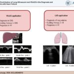 VExUS and LUS application in Heart Failure. VExUS: Venous Excess Ultrasound; LUS: lung ultrasound; CRS: cardiorenal syndrome; HF: heart failure.