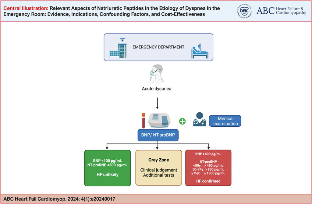 Flowchart for the use of natriuretic peptides in the diagnosis of heart failure in patients with acute dyspnea in the emergency room. BNP: B-type natriuretic peptide; HF: heart failure; NT-proBNP: N-terminal pro-B-type natriuretic peptide.