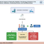Flowchart for the use of natriuretic peptides in the diagnosis of heart failure in patients with acute dyspnea in the emergency room. BNP: B-type natriuretic peptide; HF: heart failure; NT-proBNP: N-terminal pro-B-type natriuretic peptide.