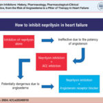 ACE: angiotensin-converting enzyme.