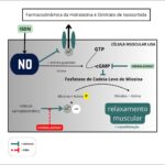 Figura 2
