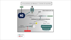 Figura 2