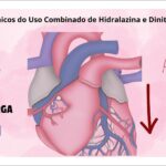 Figura 3