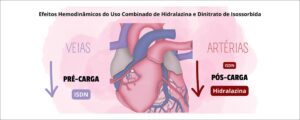 Figura 3