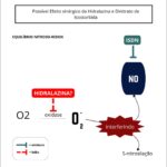 Figura 4