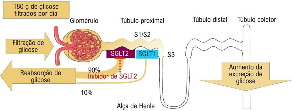 Figura 2