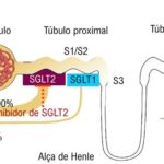 Figura 2