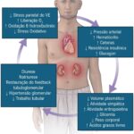 Figura 4