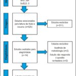 Figura 1