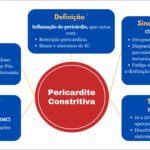Figura 4