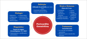 Figura 4