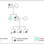 Figura 5