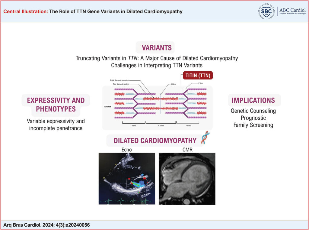 Echo: echocardiogram; CMR: cardiac magnetic resonance.