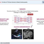 Echo: echocardiogram; CMR: cardiac magnetic resonance.
