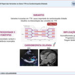 ECO: ecocardiograma; RMC: ressonância magnética cardíaca.