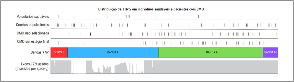 Figura 2