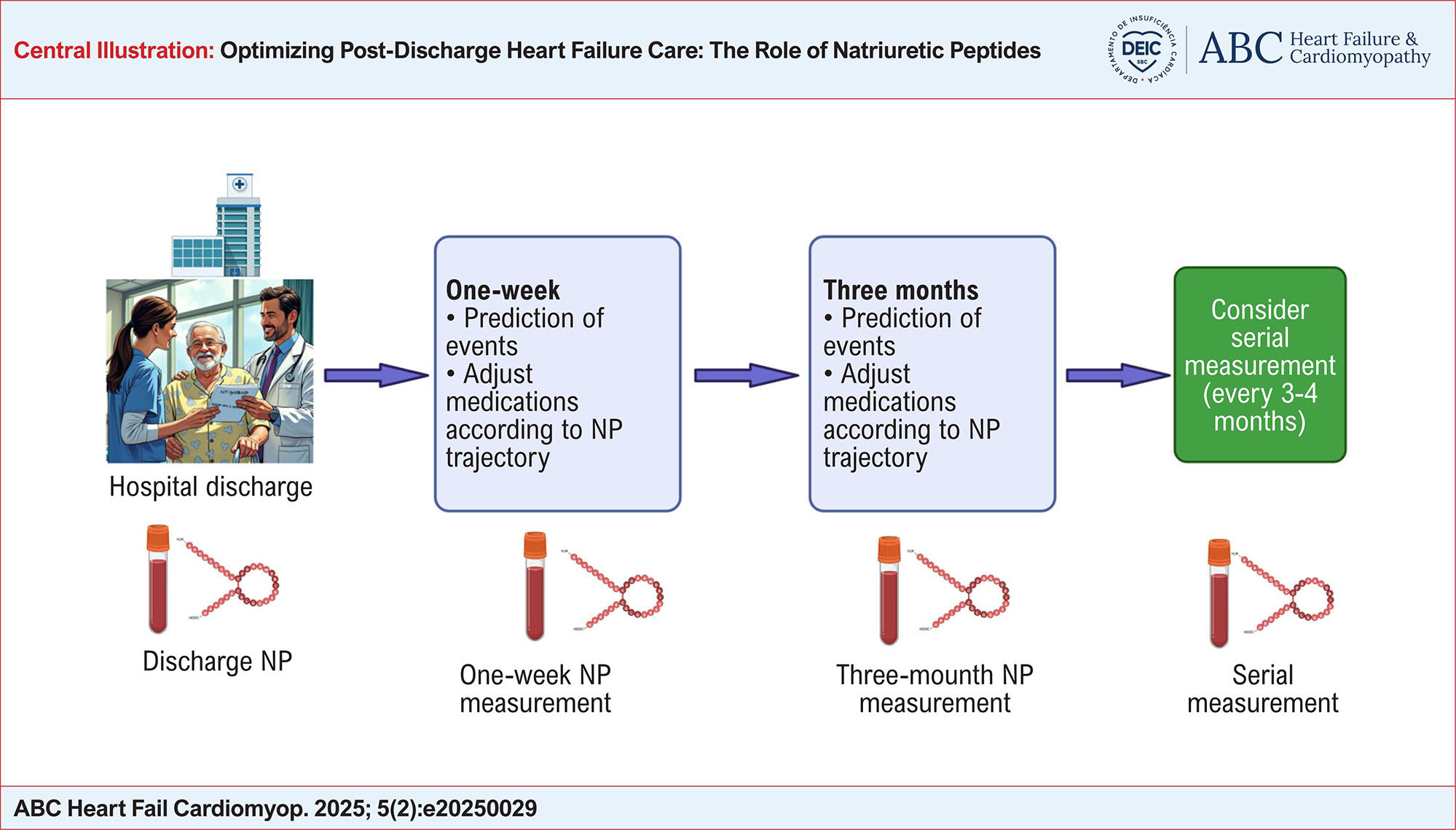 Optimizing Post-Discharge Heart Failure Care: The Role of Natriuretic Peptides