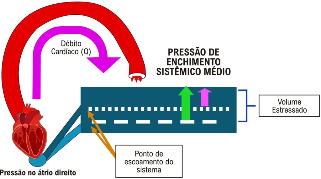 Figura 2