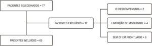 Figura 1