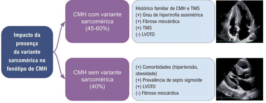 Figura 3