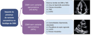 Figura 3