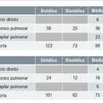 Figura 2