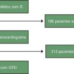 Figura 1