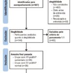 Figura 1