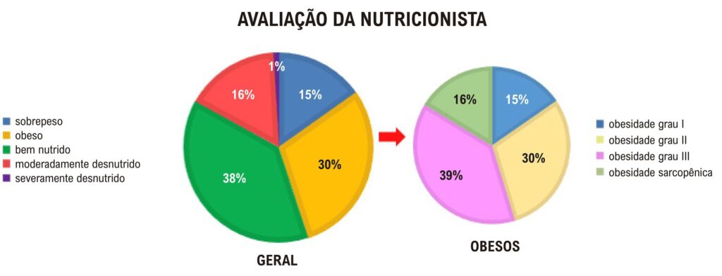 Figura 1